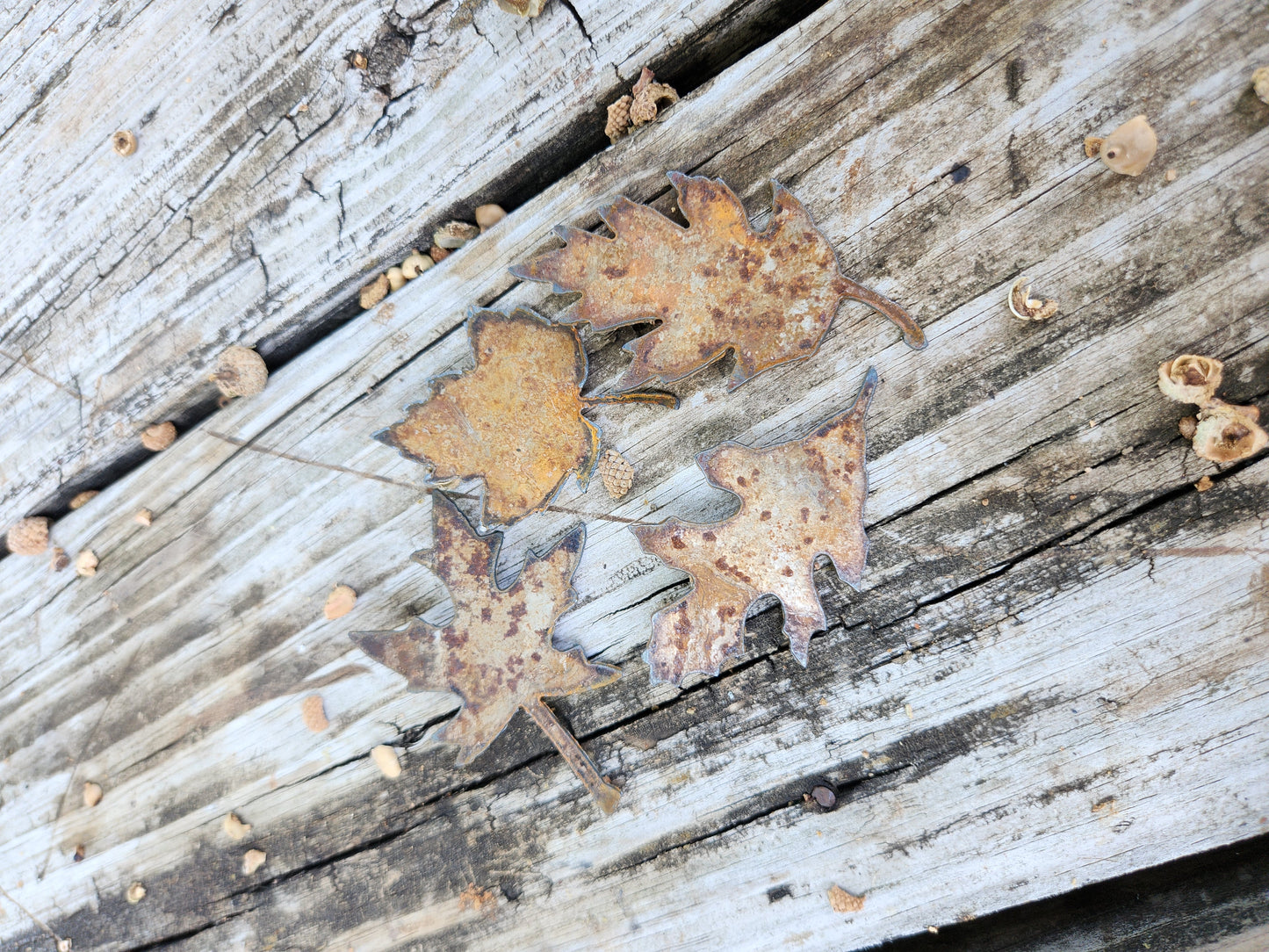 4-Pack Fall Leaf Cutout